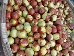 -青岛市本溪路农贸市场