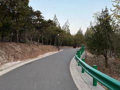 -白水寺森林公园