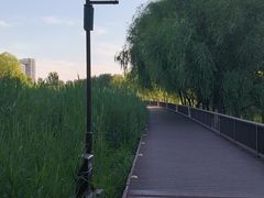 -西海子公园