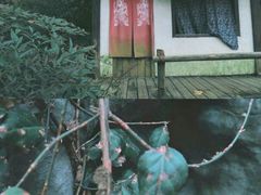 -惠山国家森林公园