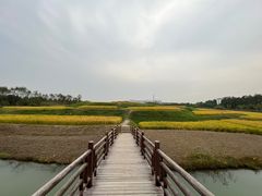 -乌村