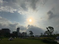 -大亚湾红树林城市湿地公园