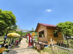 -青龙山国家森林公园