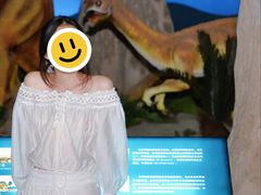 -世界恐龙谷景区