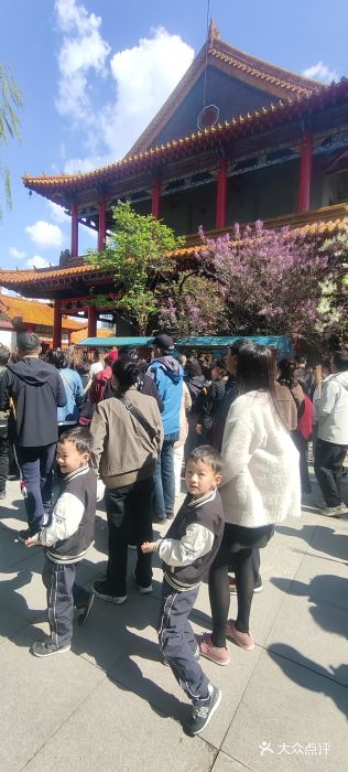 哈尔滨极乐寺图片