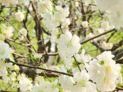 -北京安贞环宇荟