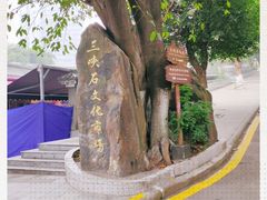 -三峡古玩城(泰古广场店)