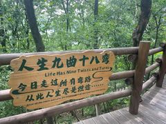 -天目湖山水园