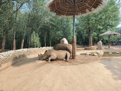 -北京野生动物园