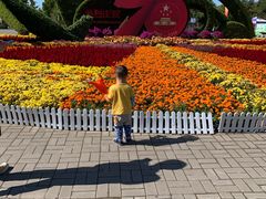 -大兴滨河森林公园