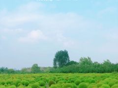 -映月湖中央公园
