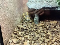 -上海海洋水族馆