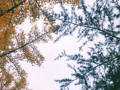 景点-淮海战役纪念馆