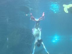 -福州罗源湾海洋世界旅游区