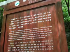 -青峰峡国家森林公园