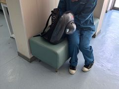 -佳怡动物医院·平价24小时·猫专科骨外科