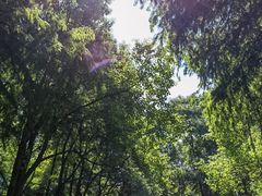 -上海滨江森林公园