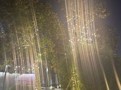 -金鸡湖游船(月光码头)