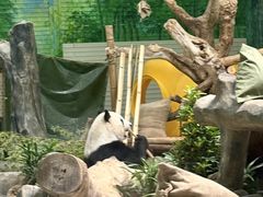-灵玲国际马戏城