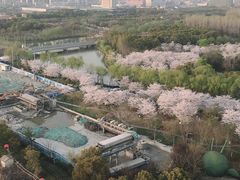 -自然谷恐龙园