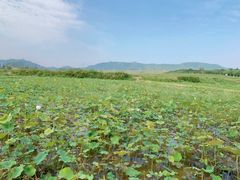 -光明小镇欢乐田园
