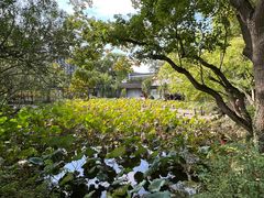 -上海醉白池公园