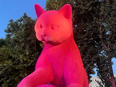 -西安电影制片厂