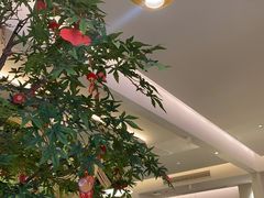 -Aqua Oasis 水天堂(太湖中心mall店)