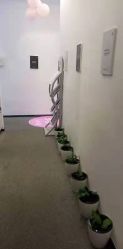 -妈妈时光机医疗产后修复(南山茂业百货店)