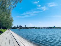 -长春市南湖公园