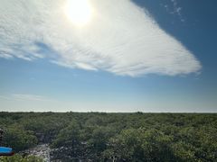 -北海金海湾红树林生态旅游区