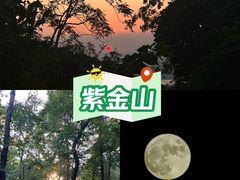 -紫金山山顶公园