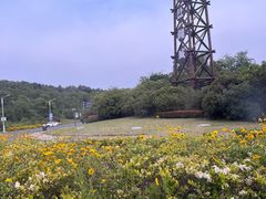 -茅山东方盐湖城景区
