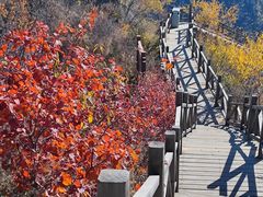 -大岭沟猕猴桃谷风景区