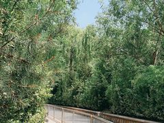 -泰安地下龙宫景区