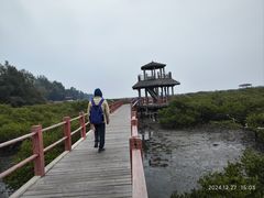 -北海金海湾红树林生态旅游区