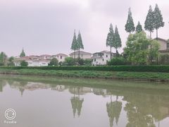 -嘉定紫藤园
