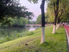 -艾溪湖湿地公园