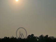 -日照海滨国家森林公园