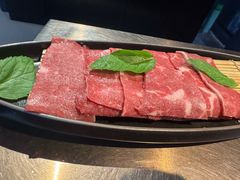 -辣伍鲜毛肚老火锅(元一店)