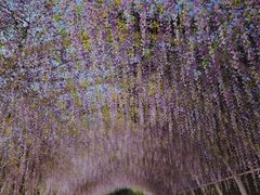 -同里国家湿地公园