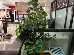 -湘桂人酒楼(西便门店)