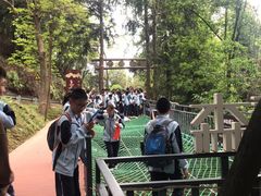 -大余丫山旅游度假区