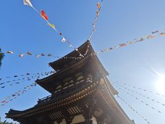 -庐山风景名胜区-东林大佛