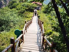 -大岭沟猕猴桃谷风景区