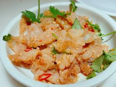 醋椒海蜇-佬肥猫(国华广场店)