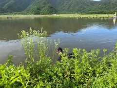 -大九湖
