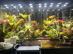 -扶摇湘宴·烤鸭·湘粤宴(中关村·北大店)