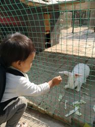 -上美四季动物农场