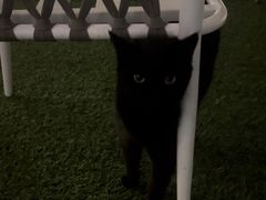 -UNIUNI(凯瑟琳广场店)